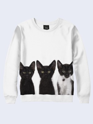 Свитшот Three cats